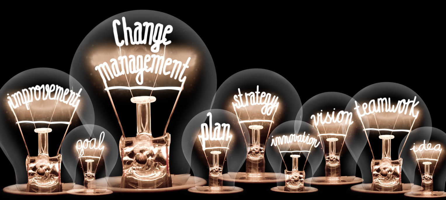 Change Management Light Bulb Image